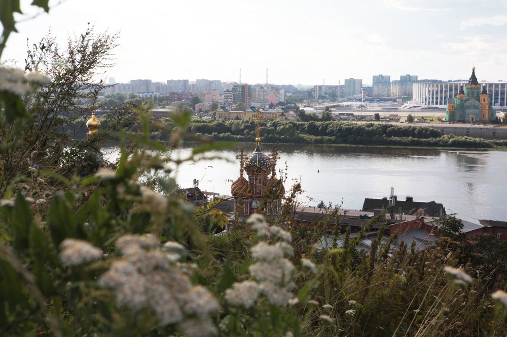 Фотография автора Ольга Малкова