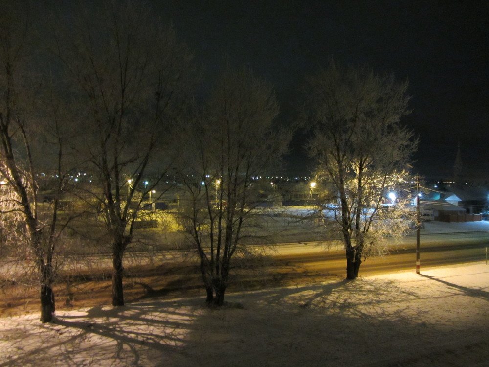 Photo #4875135