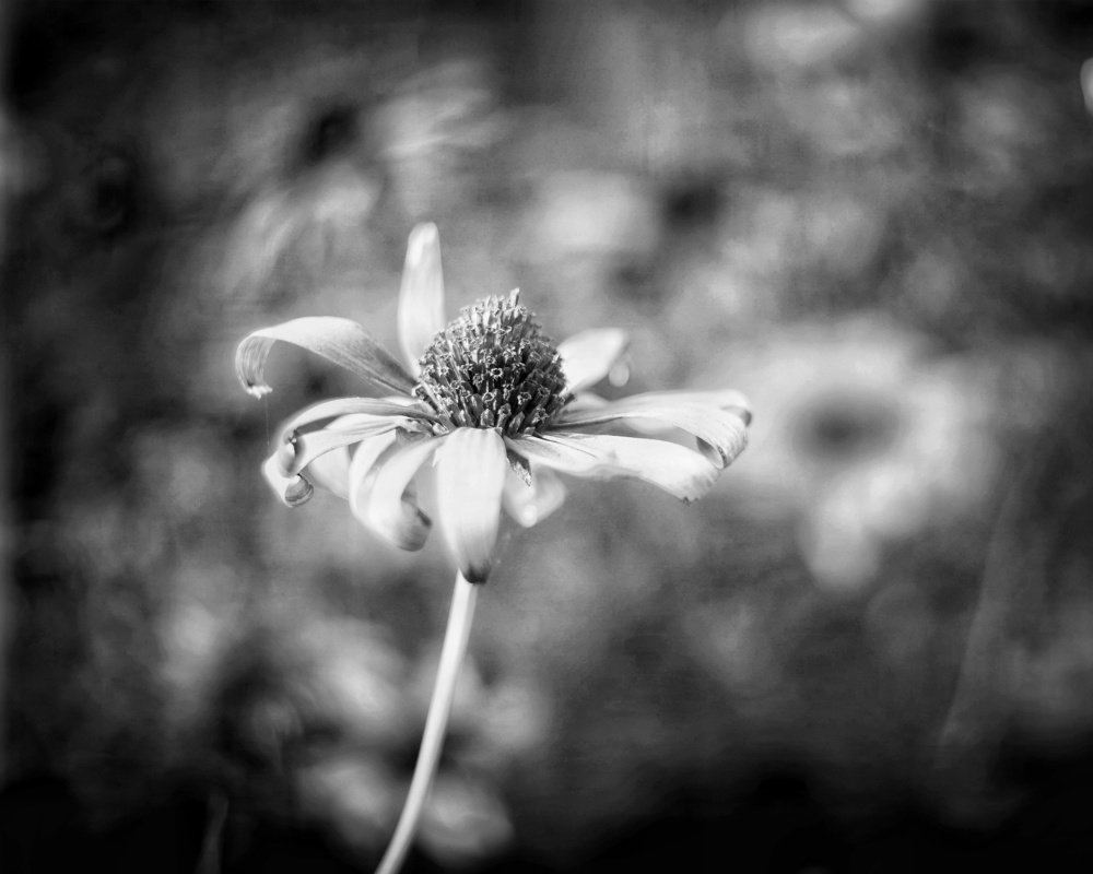 Photograph by Игорь Маслов