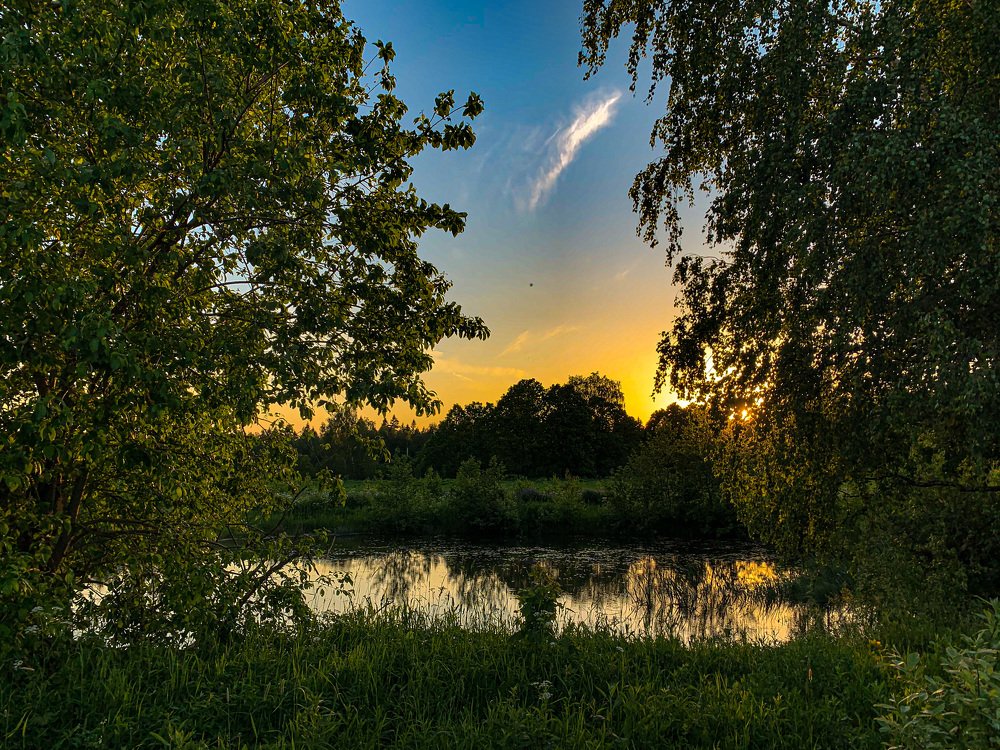 Photograph by Elena Makarova