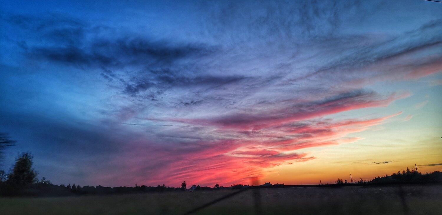 Photo #4875179
