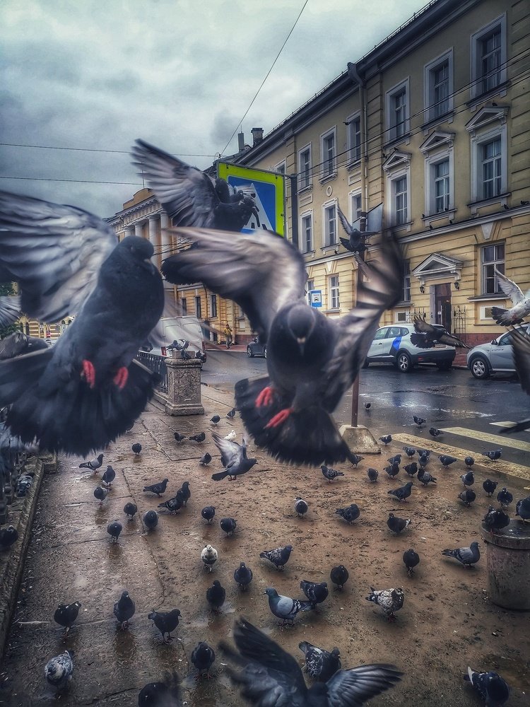 Фотография автора Комарова Наталья