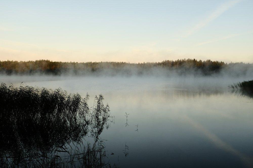 Photograph by Андрей Царев