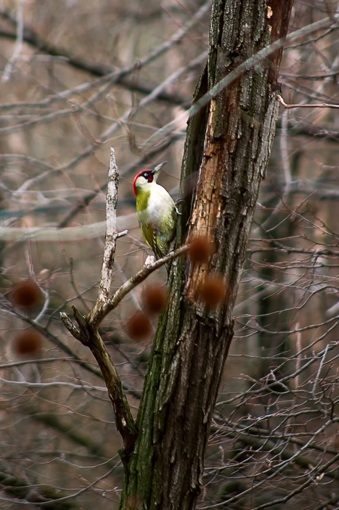 Photograph by Роман Приходько