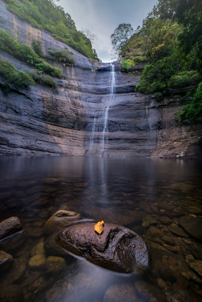 Photograph by Sameera Madusanka