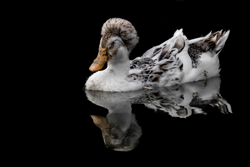 Photograph by SANDRA TATA DE BEDOUT