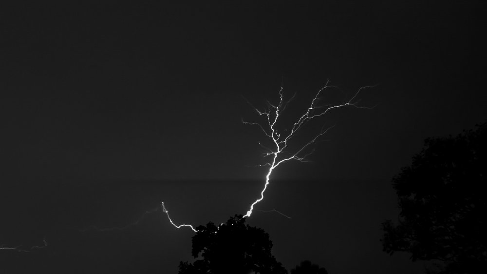 Photograph by Harisankar B