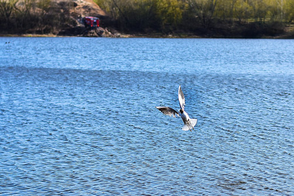 Photograph by Cергей Землянский