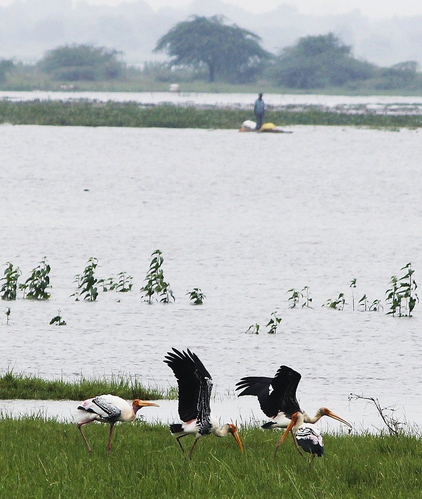 Фотография автора Pranay Shah