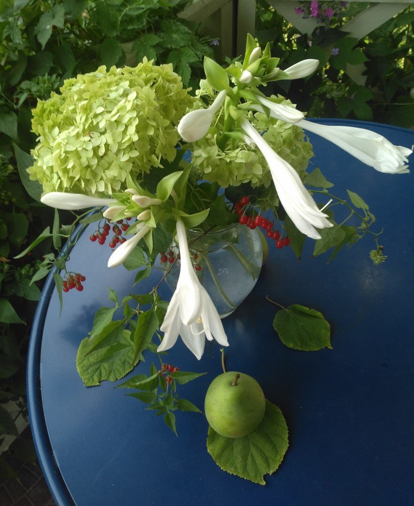 натюрморт с грушей