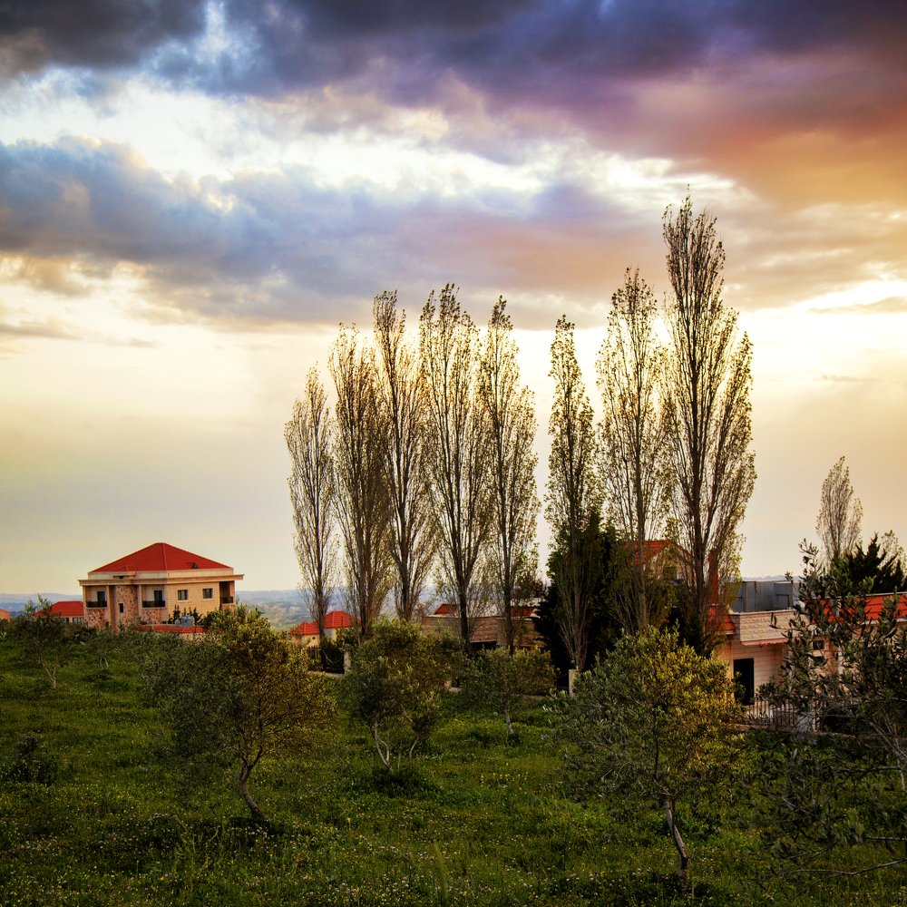 Photograph by Mohanad Aljammasi