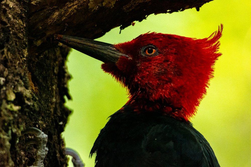 Photograph by Hinojosa Pablo