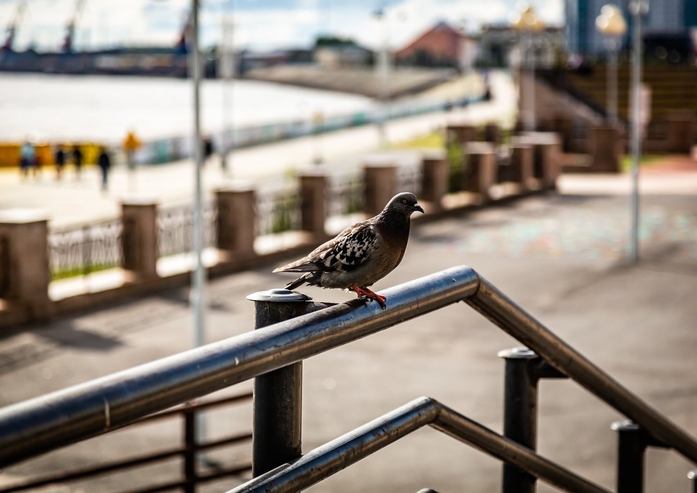 Photograph by Руслан Абдрашитов