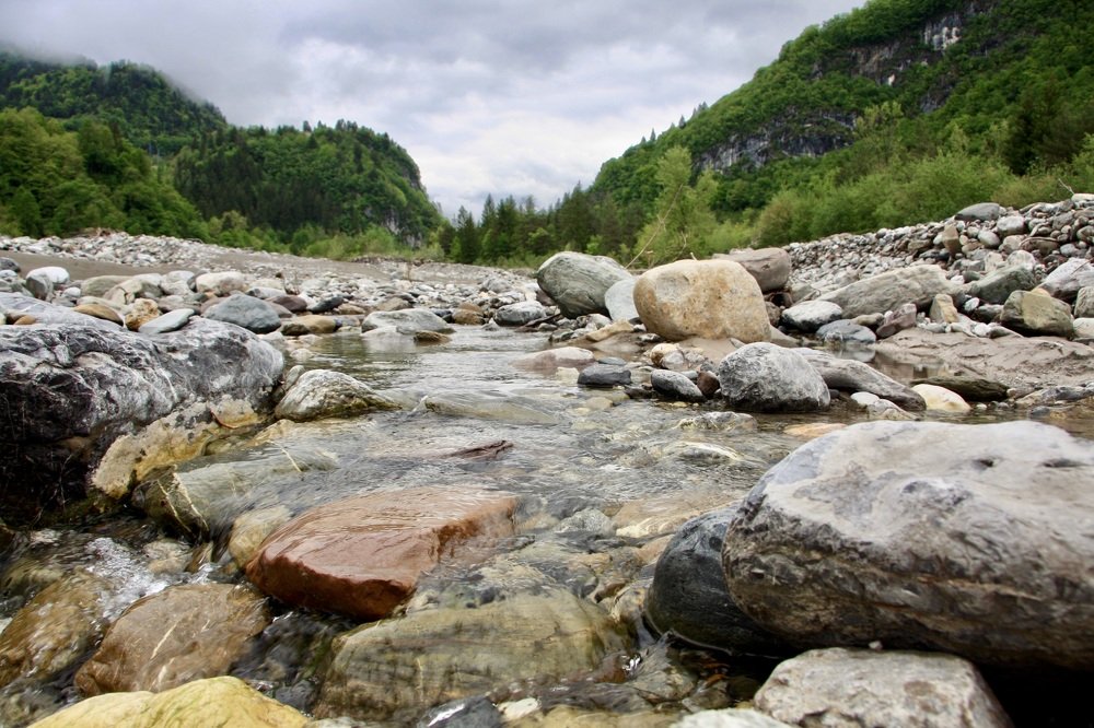 Photograph by Наталья Пирогова