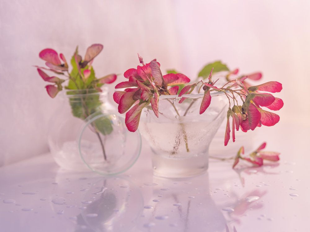 В пурпурных тонах.