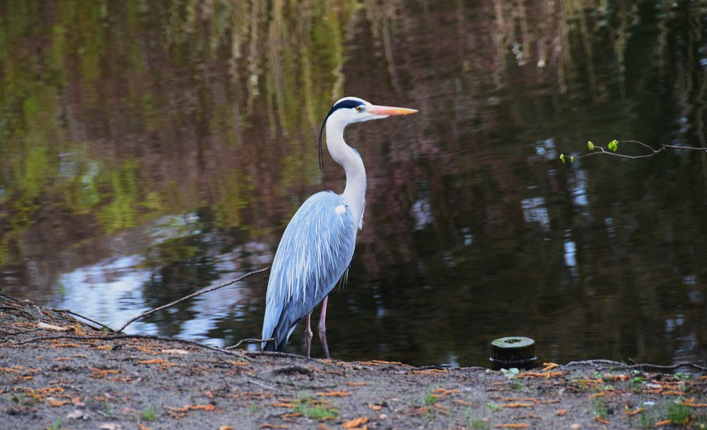 Photograph by Galina Leskova
