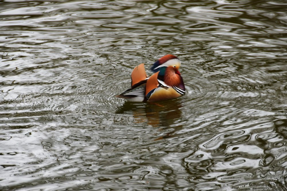 Photograph by Galina Leskova