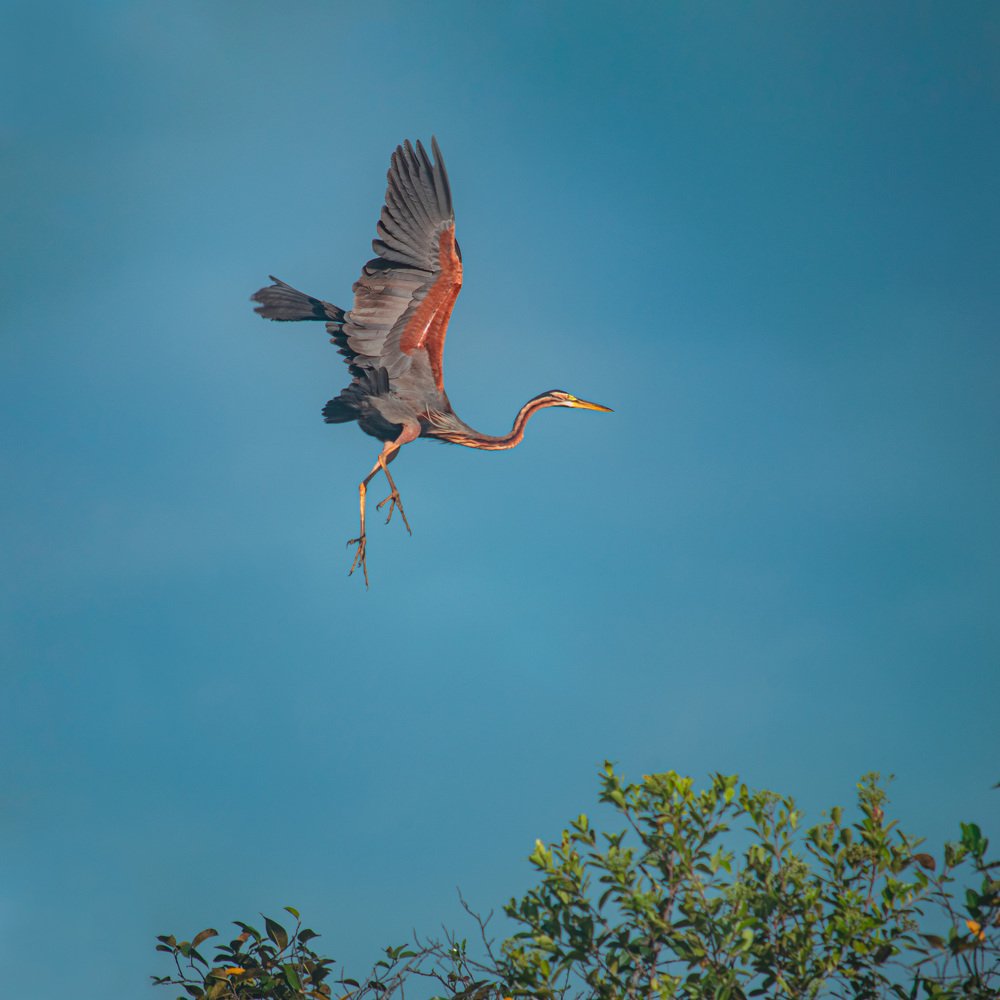 Photograph by Sameera Madusanka