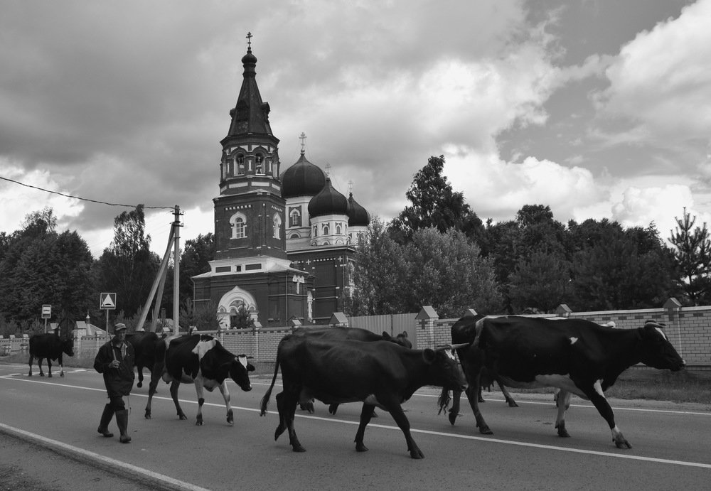 Photograph by Galina Leskova