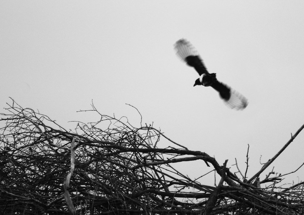 Photograph by Роман Рыжков