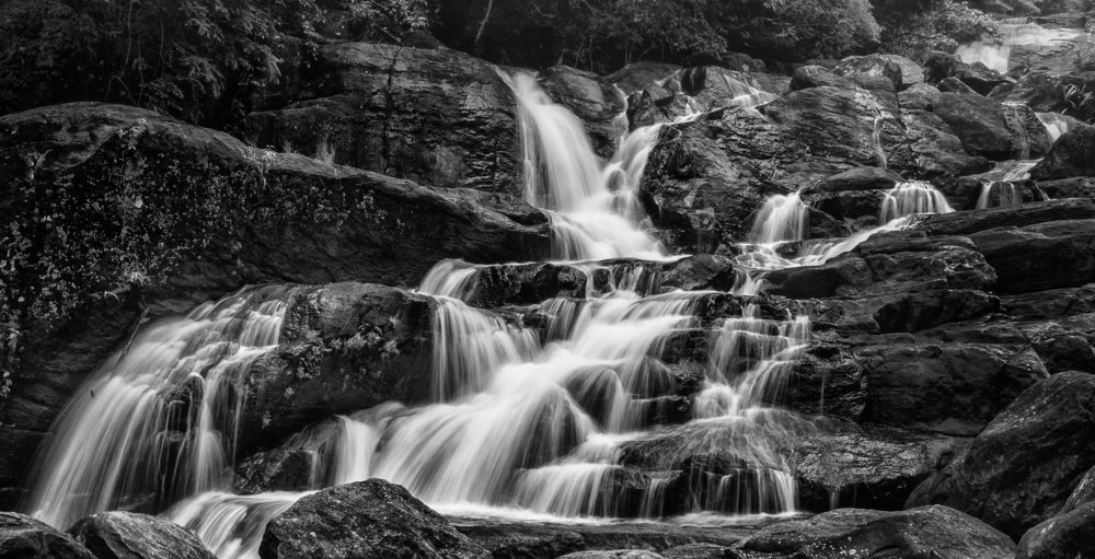 Photograph by Sameera Madusanka