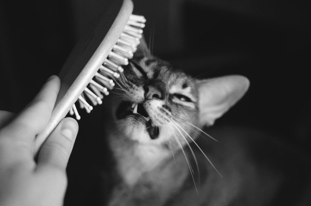 Photograph by Наталия Андреева