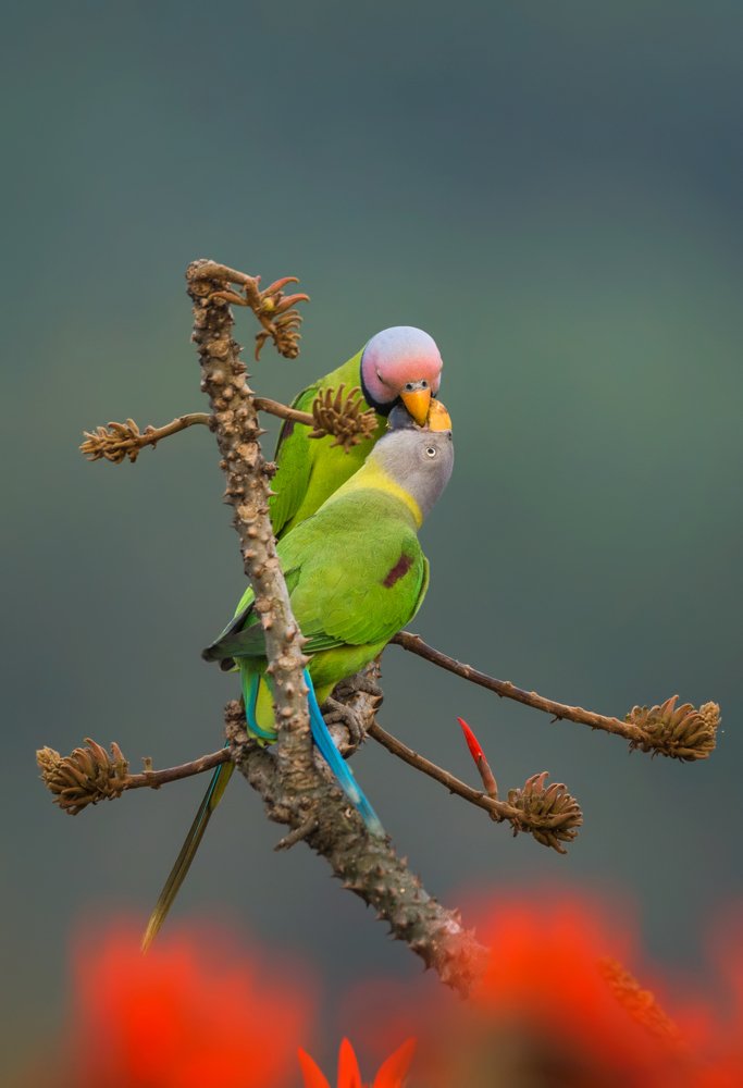 Photograph by  Mostafijur Rahman shipto