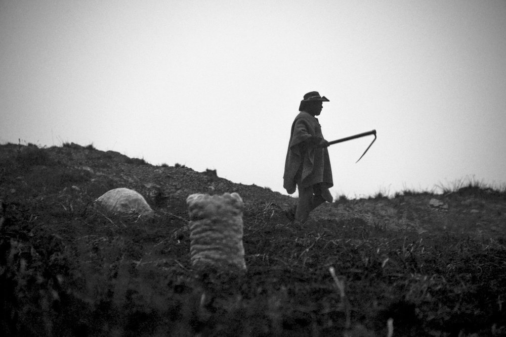 Photograph by Juan Sebastian