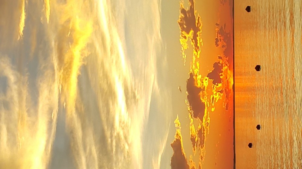 Photo #4875899