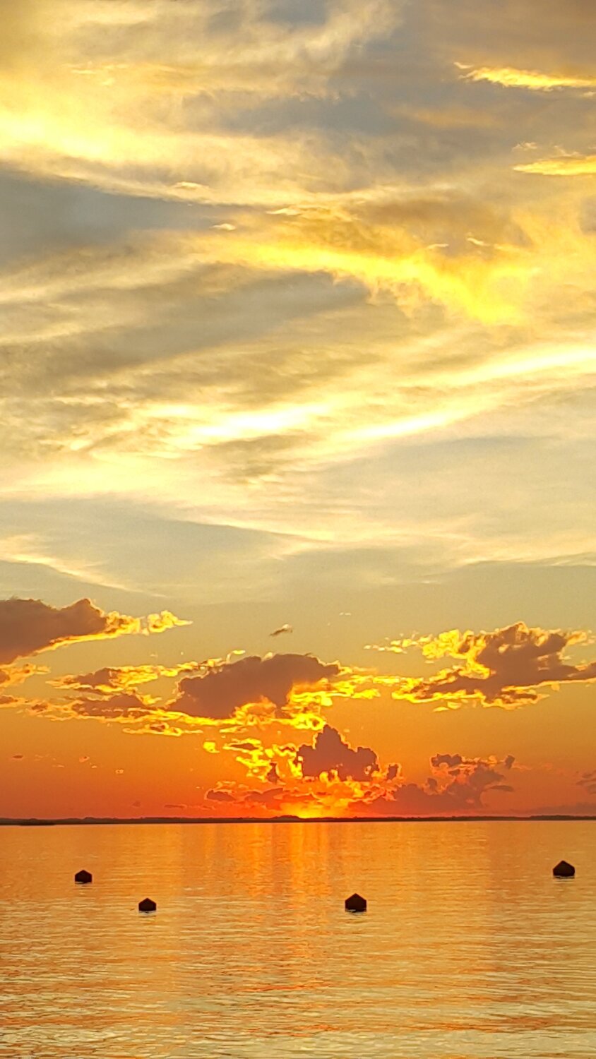 Photo #4875899