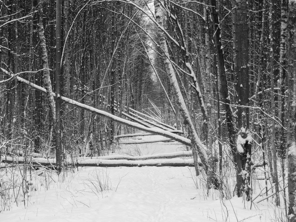 Photograph by Вадим Кондрат