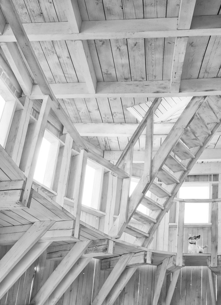 Внутри пёсьей конуры