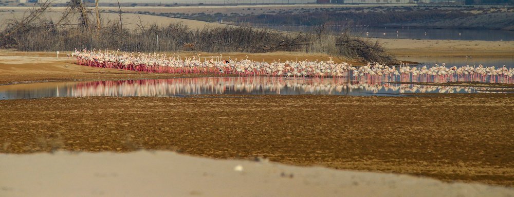 Photograph by MARY GRACE Montives