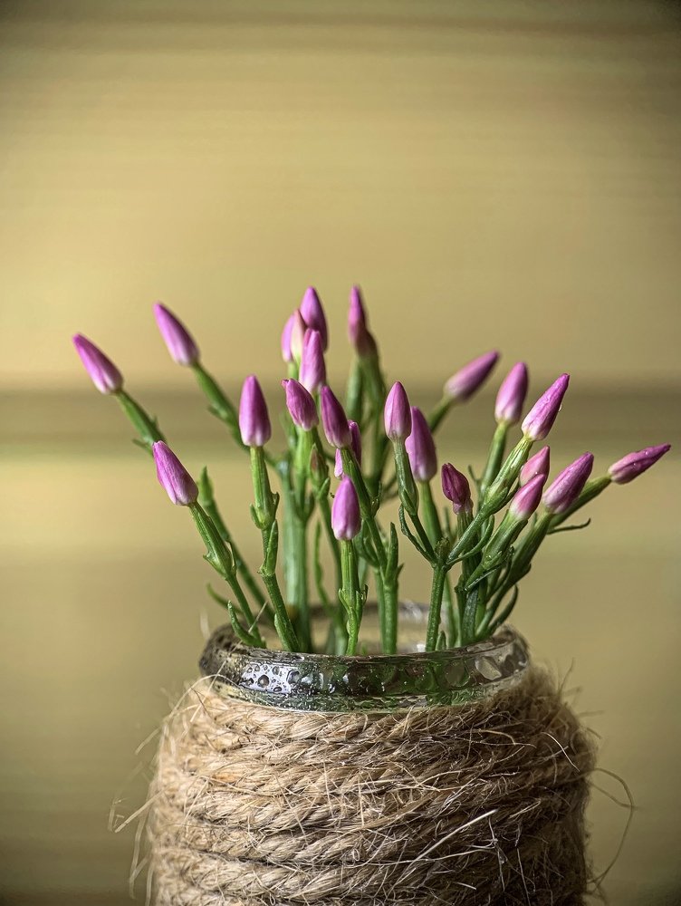 Photograph by Tatyana Belova