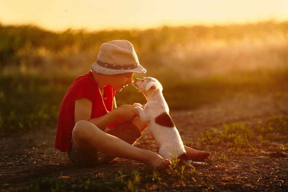 Photograph by Ekaterina Elikstratova