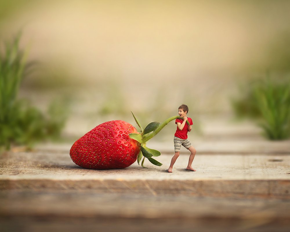 Photograph by Ekaterina Elikstratova