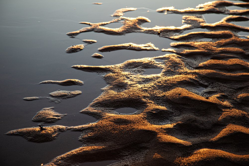 Photograph by Алина Емельянова