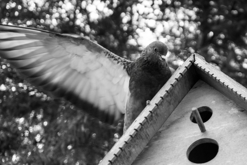 Photograph by МИХАИЛ ЛОГАШОВ