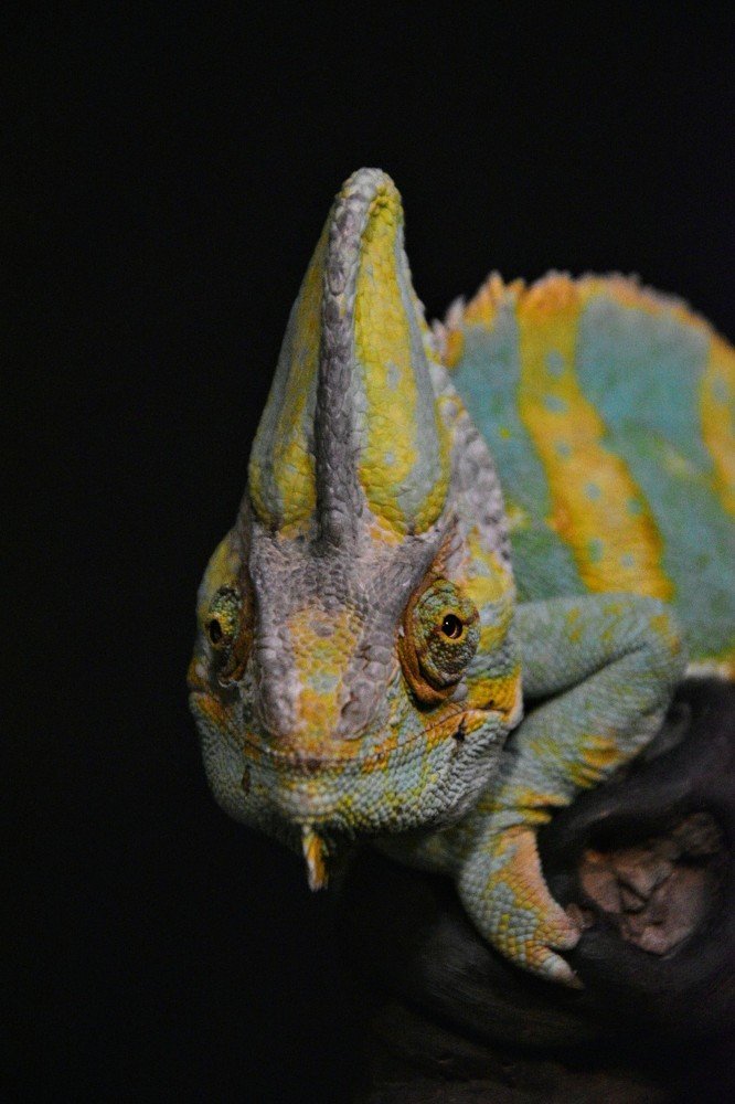 Photograph by Ivo Damen