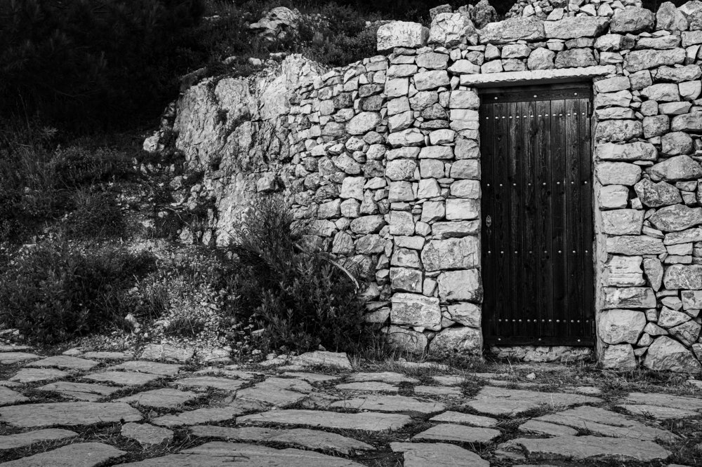 Photograph by Mohanad Aljammasi