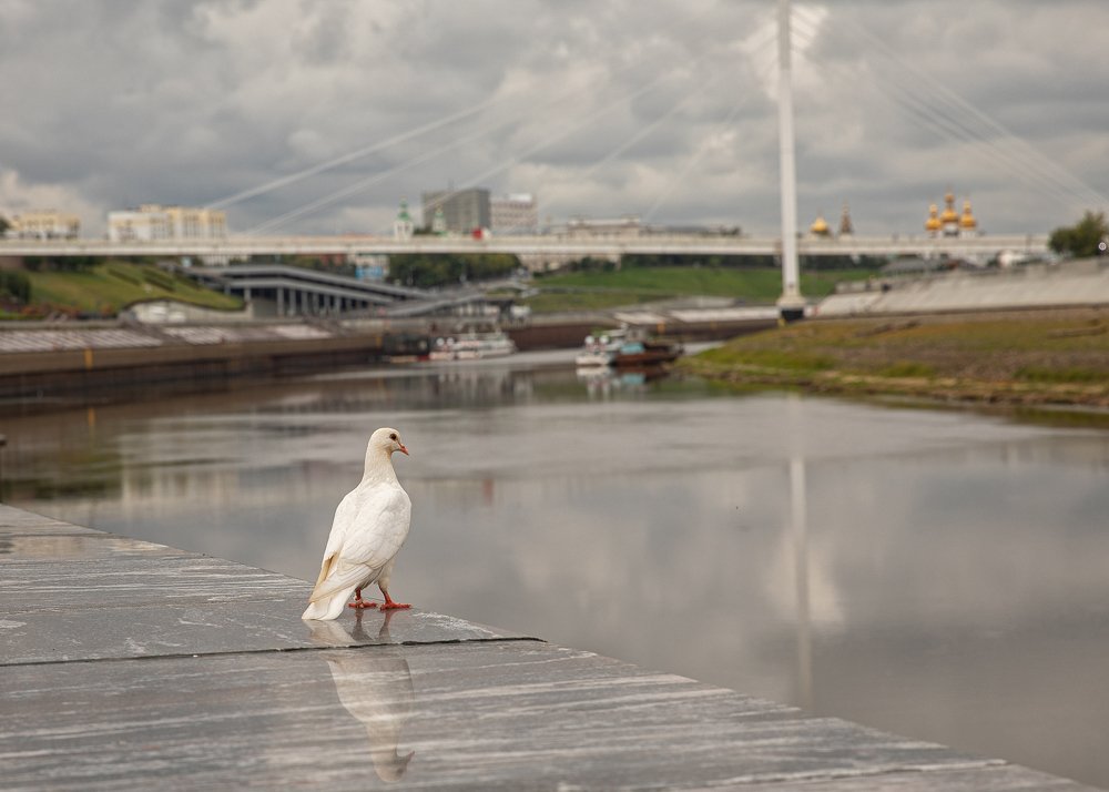 Photograph by Дмитрий Сиялов