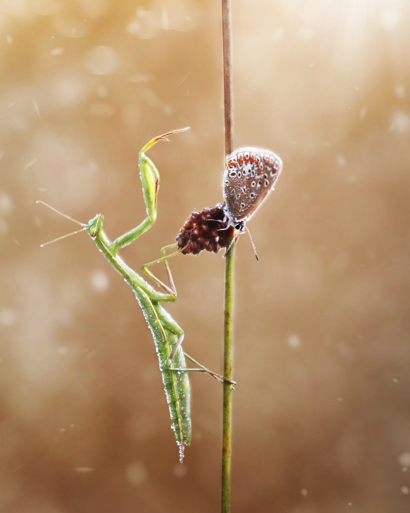 Photograph by Евгений Горланов