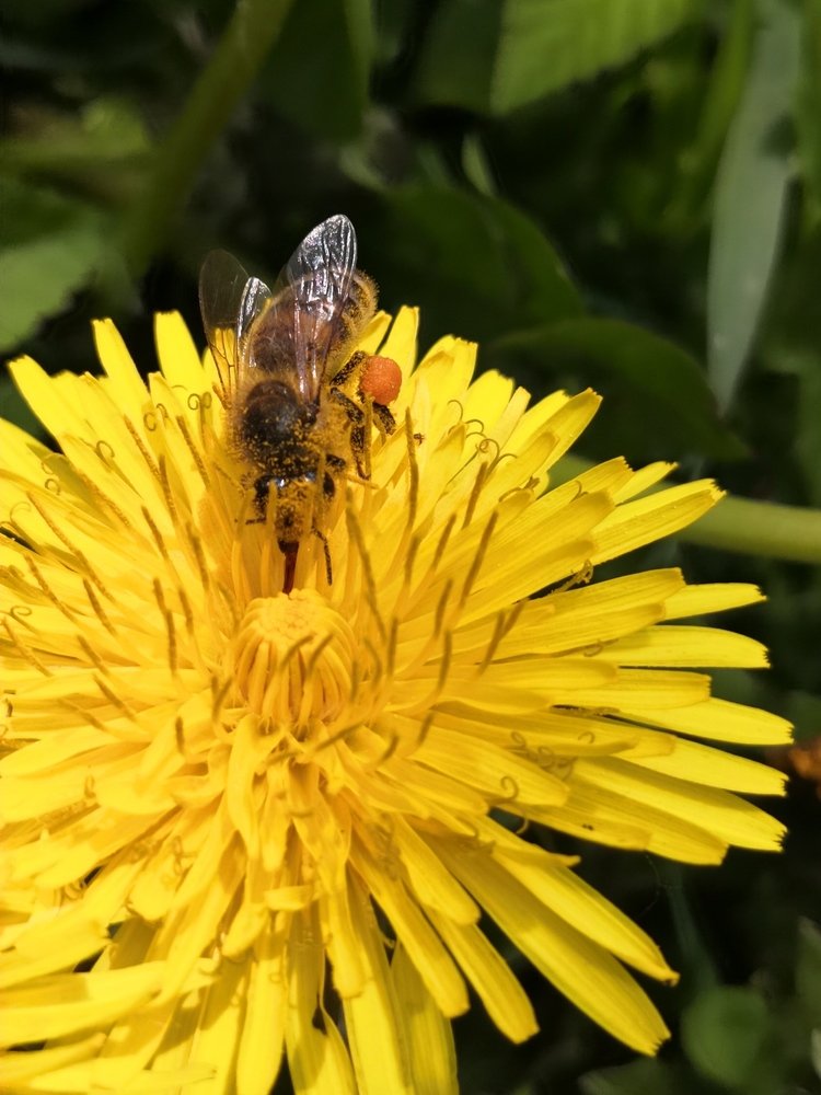 Photograph by Анна Голенева