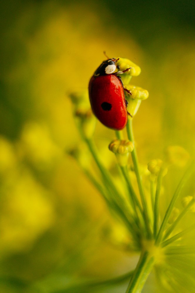 Photograph by Alena Rybakova