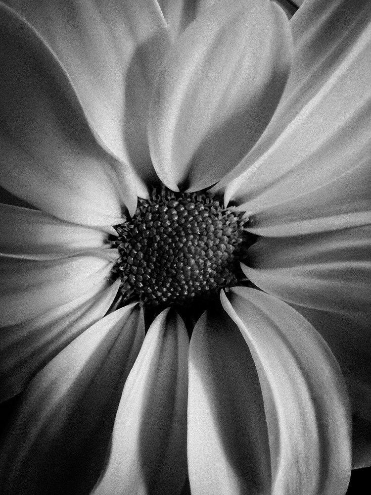 Photograph by Ангелина