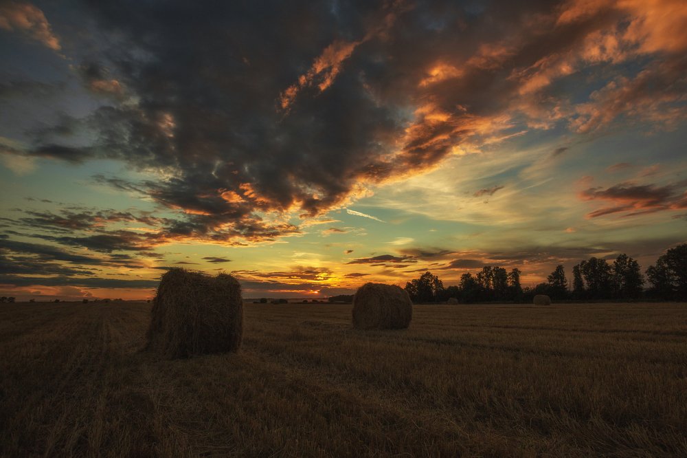 Photograph by Сергей Бибиков