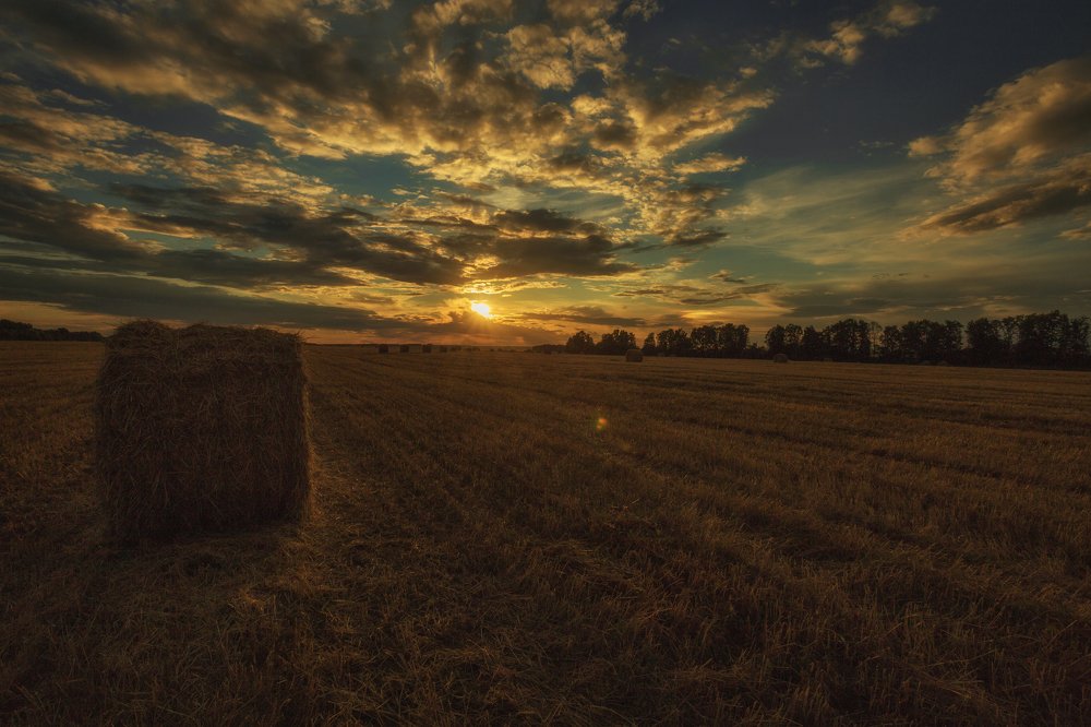 Photograph by Сергей Бибиков