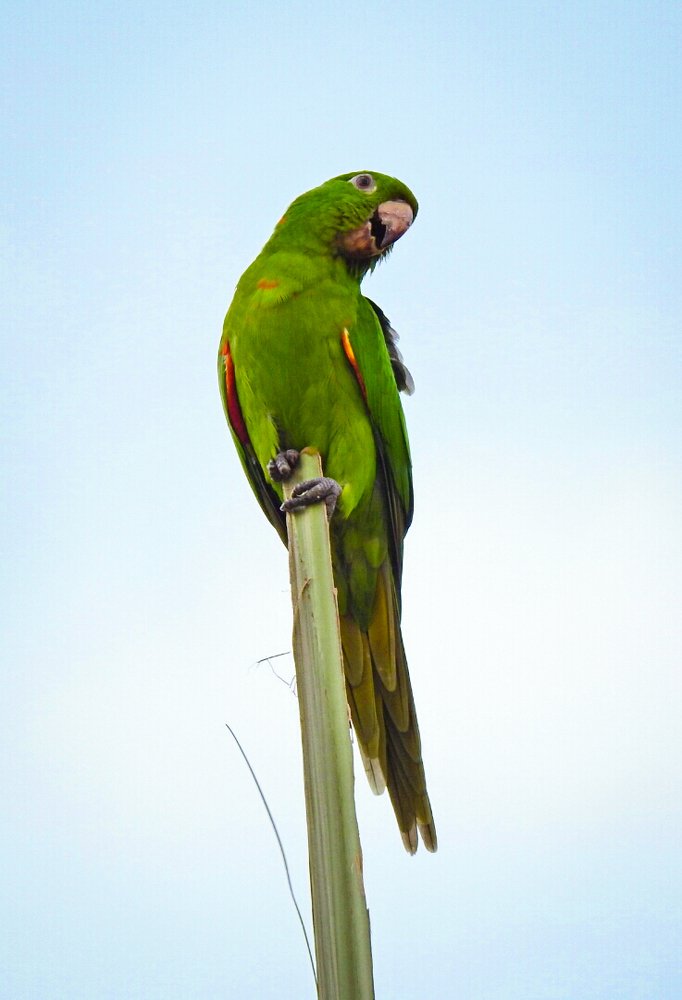 Photograph by Lia Pereira