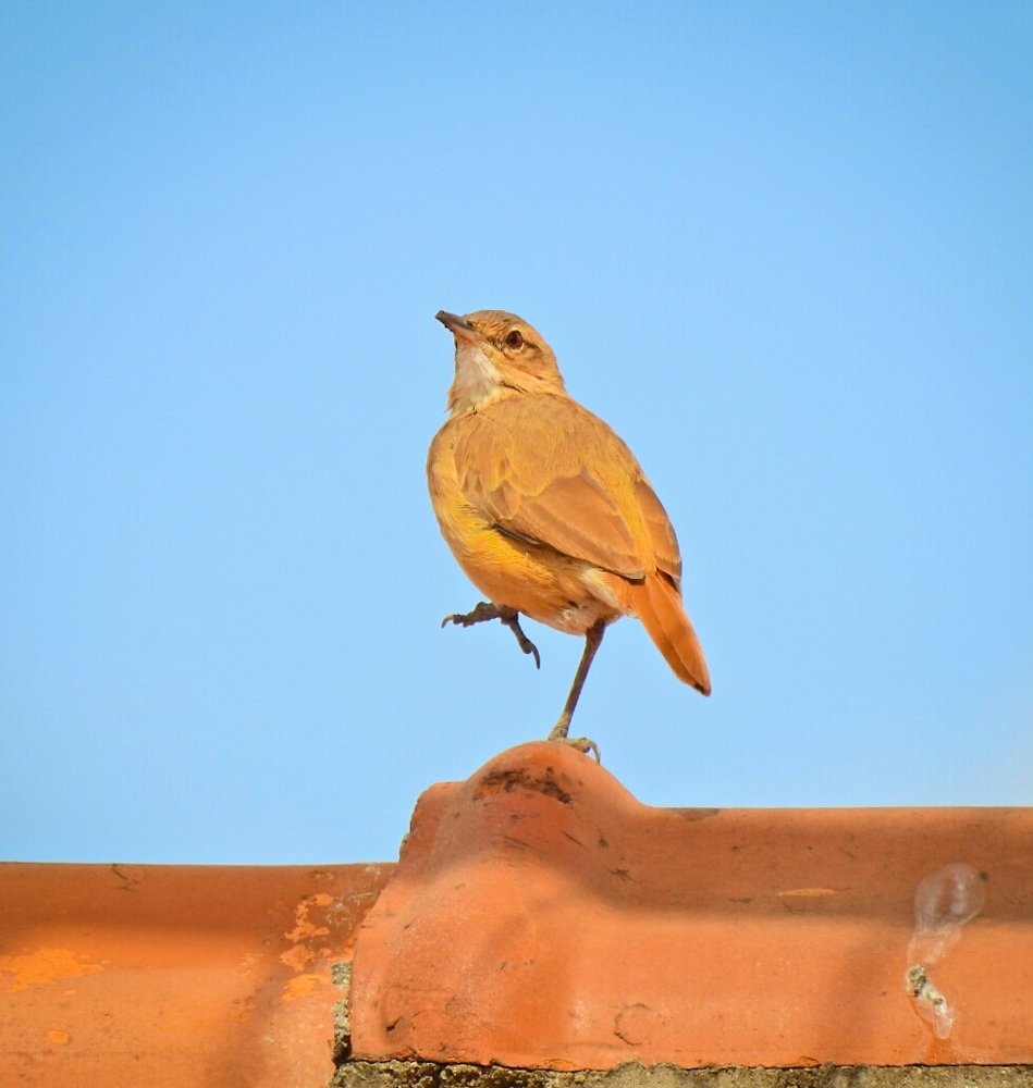 Photograph by Lia Pereira