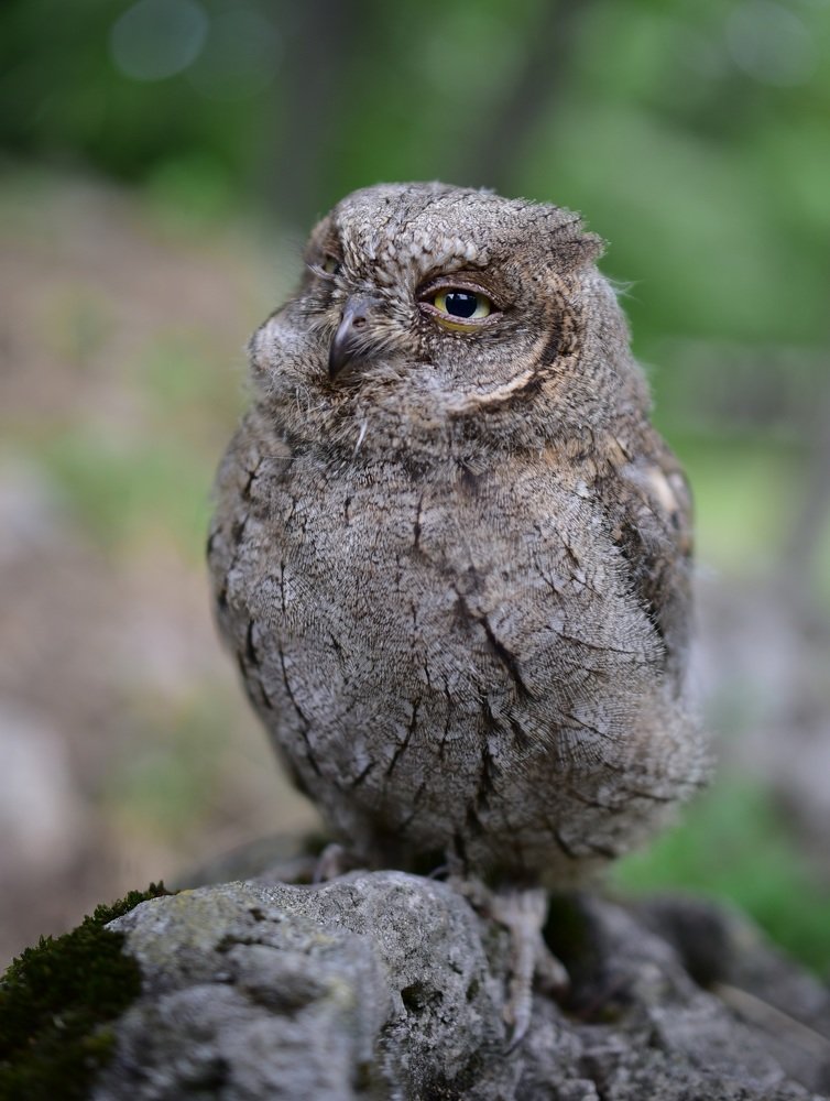 Photograph by Петър Кръстев